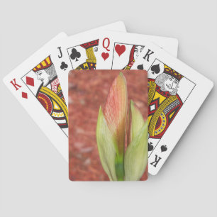 Baraja De Cartas Amaryllis Flor de manzana