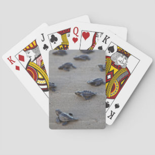 Baraja De Cartas América Central, El Salvador, Océano Pacífico