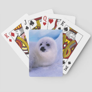 Baraja De Cartas América del Norte, Canadá, Golfo de San Lorenzo