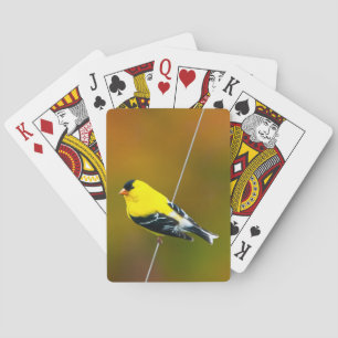 Baraja De Cartas American Goldfinch - Fotografía original