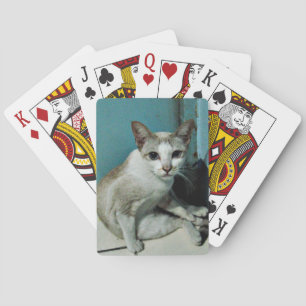 Baraja De Cartas Amigo del gato siamés