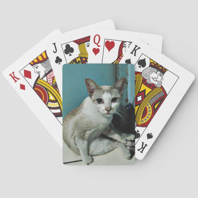 Baraja De Cartas Amigo del gato siamés (Reverso)