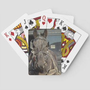 Baraja De Cartas Amish Buggy Horse