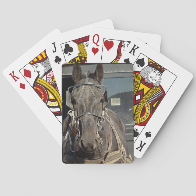 Baraja De Cartas Amish Buggy Horse (Reverso)