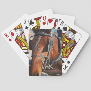 Baraja De Cartas Amish Horse