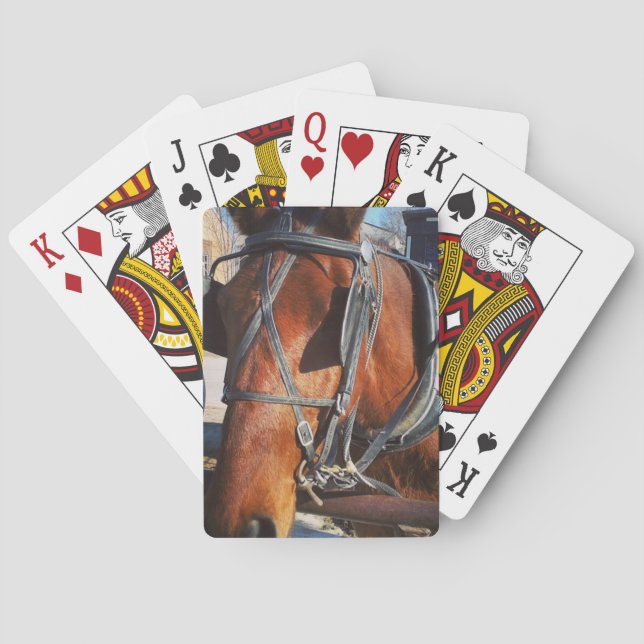 Baraja De Cartas Amish Horse (Reverso)