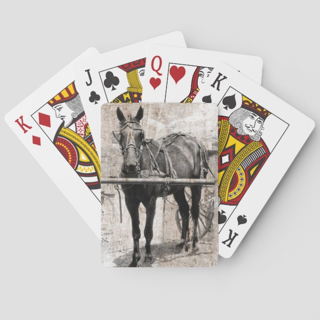 Baraja De Cartas Amish horse grunge (Reverso)