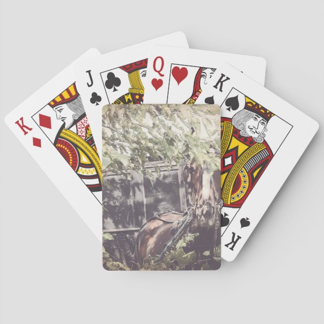 Baraja De Cartas amish Waiting Horse (Reverso)