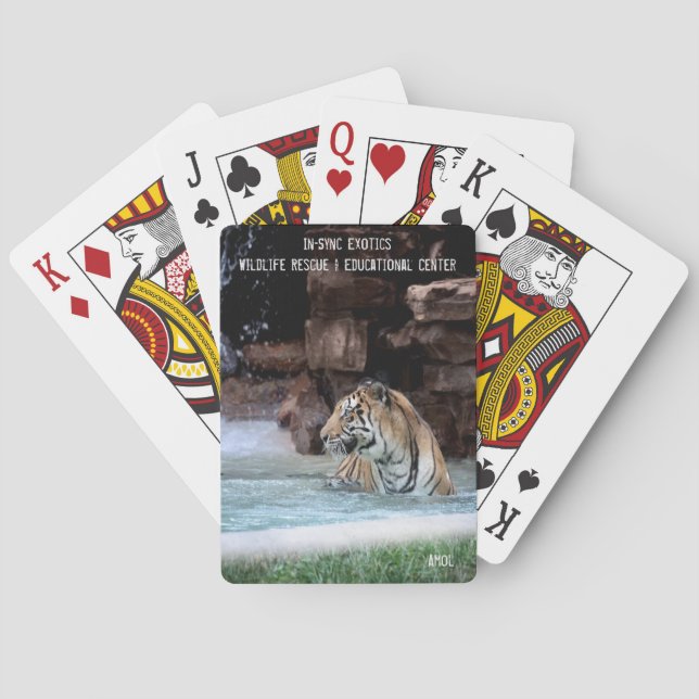 Baraja De Cartas Amol - (Reverso)