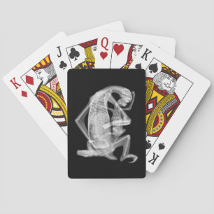 Baraja De Cartas Amor de la radiografía de la pereza