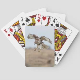 Baraja De Cartas Amortiguamiento inmaduro de Hawk con cola roja