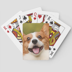 Baraja De Cartas Añadir foto de perro personalizada