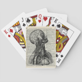 Baraja De Cartas Anatomía humana médica