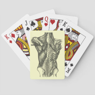Baraja De Cartas Anatomía trasera vintage