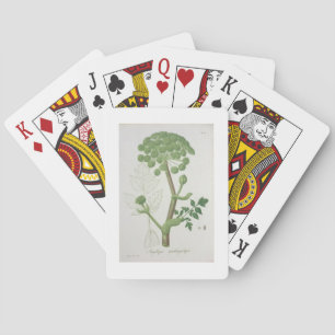 Baraja De Cartas Angelica Archangelica de 'Phytographie Medicale'