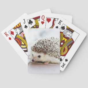 Baraja De Cartas Animal lindo del erizo del bebé
