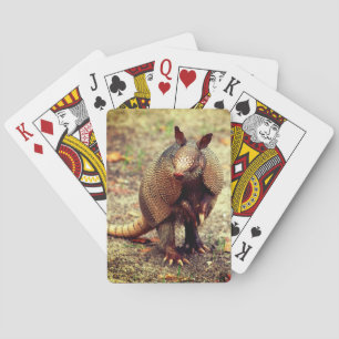 Baraja De Cartas Animal salvaje del armadillo
