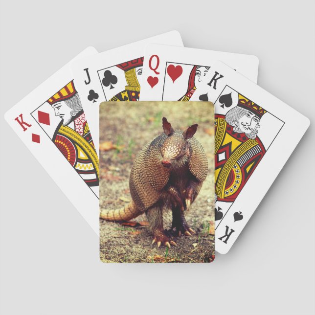 Baraja De Cartas Animal salvaje del armadillo (Reverso)