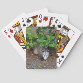 Baraja De Cartas Animales al aire libre