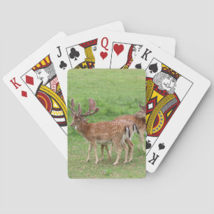 Baraja De Cartas animales, ciervos, fauna, bosque, prado, caza, n
