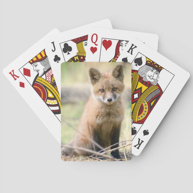 Baraja De Cartas Animales de bebé más afectados | Baby Fox (Reverso)