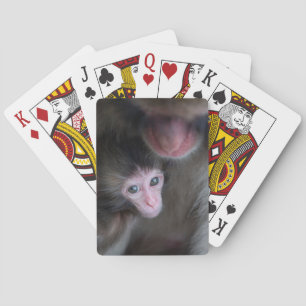 Baraja De Cartas Animales de bebé más afectados   Bebé Macaque Mono