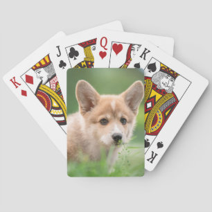 Baraja De Cartas Animales de bebé más afectados Cachorro de Corgi