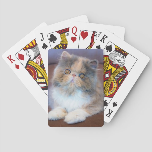 Baraja De Cartas Animales de bebé más afectados | Calico Persian Ki (Reverso)
