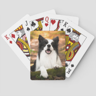 Baraja De Cartas Animales de bebé más afectados   Color del borde b