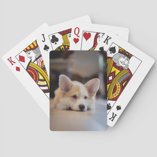 Baraja De Cartas Animales de bebé más afectados | Corgi Puppy solit (Reverso)