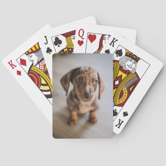 Baraja De Cartas Animales de bebé más afectados | Dachshund Puppy (Reverso)