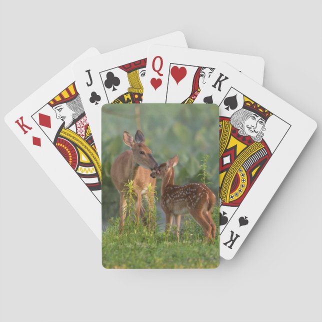 Baraja De Cartas Animales de bebé más afectados | Deer y bebé (Reverso)
