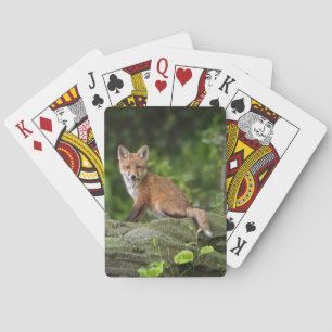 Baraja De Cartas Animales de bebé más afectados Foxy Smile