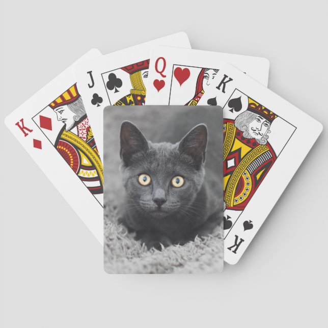 Baraja De Cartas Animales de bebé más afectados | Gato gris (Reverso)