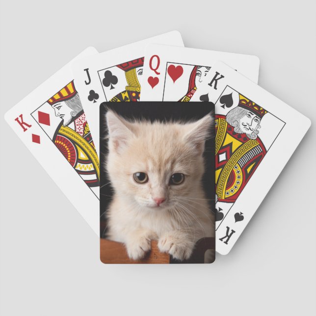 Baraja De Cartas Animales de bebé más afectados | Ginger Kitten (Reverso)
