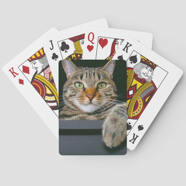 Baraja De Cartas Animales de bebé más afectados | Gris Tabby Cat Fa (Reverso)