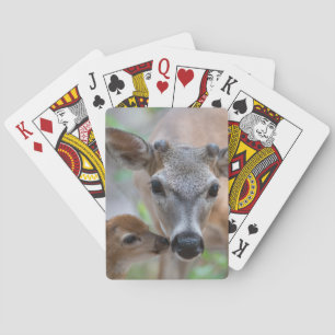 Baraja De Cartas Animales de bebé más afectados   Key Deer Stag & F