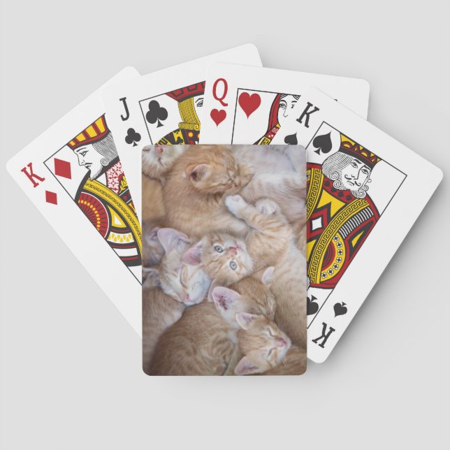 Baraja De Cartas Animales de bebé más afectados | Naranja Kitten Pi (Reverso)
