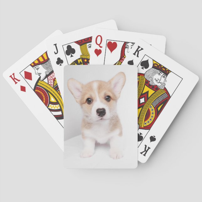 Baraja De Cartas Animales de bebé más afectados | Pequeño Corgi (Reverso)