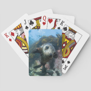 Baraja De Cartas Animales de bebé más afectados   Sello subacuático