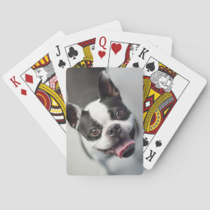 Baraja De Cartas Animales de bebé más afectados Sonrisa en el Bul