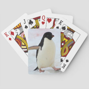 Baraja De Cartas Antártica. Isla Petermann. Pingüino de Adelie