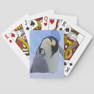 Baraja De Cartas Antártida. Pingüinos emperadores y polluelos