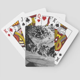 Baraja De Cartas Antiguo Mini Ba de carreras de trineo Malamute esq