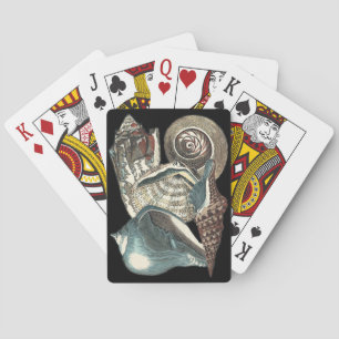 Baraja De Cartas Antología de las conchas marinas