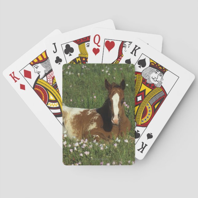 Baraja De Cartas Apaloosa Foal tumbado en las flores (Reverso)