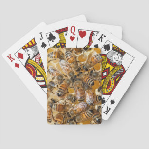 Baraja De Cartas Apicultura en Arlo's Honey Farm