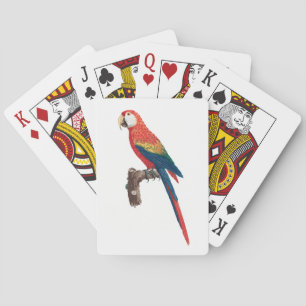 Baraja De Cartas Ara Canga Parrot