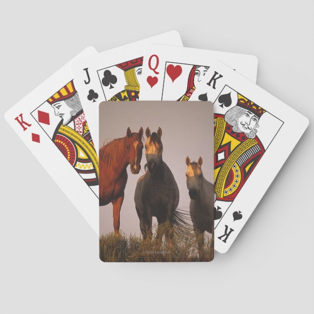 Baraja De Cartas Árabes al atardecer (Reverso)