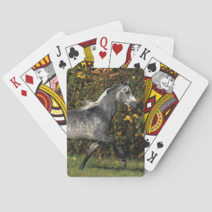 Baraja De Cartas Árabes corriendo: Otoño
